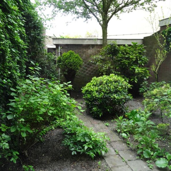 Tuin leeskamer